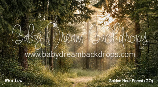 Golden Hour Forest (GO)