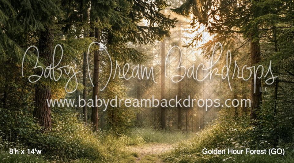 Golden Hour Forest (GO)