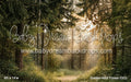 Golden Hour Forest (GO)
