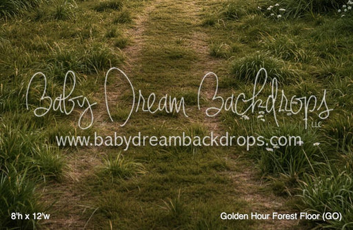 Golden Hour Forest Floor (GO)