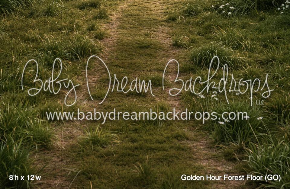 Golden Hour Forest Floor (GO)