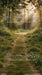 Golden Hour Forest SWEEP (GO)