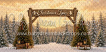 Golden Hour Tree Farm (MI)