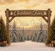 Golden Hour Tree Farm (MI)