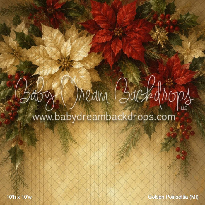 Golden Poinsettia (MI)