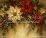 Golden Poinsettia (MI)