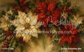 Golden Poinsettia (MI)