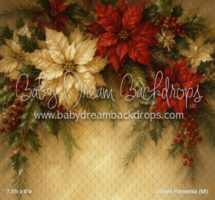 Golden Poinsettia (MI)