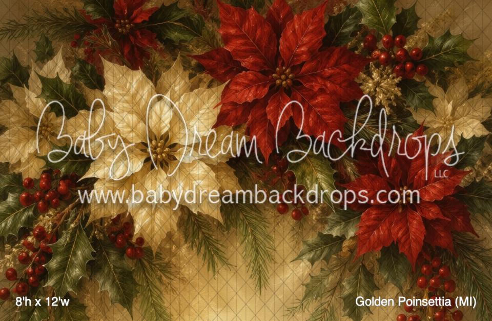 Golden Poinsettia (MI)