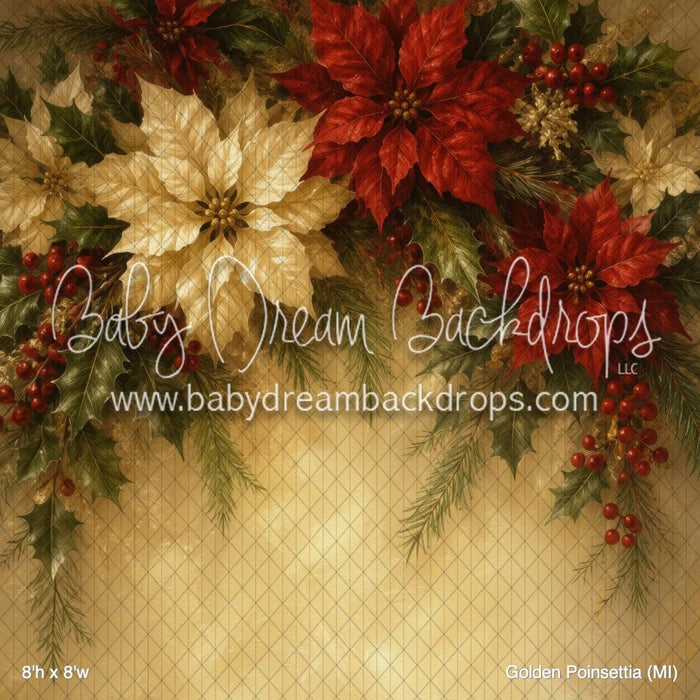 Golden Poinsettia (MI)