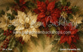 Golden Poinsettia (MI)