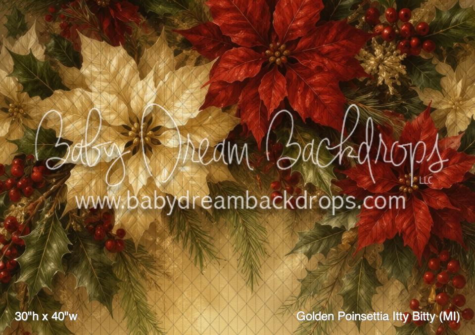 Golden Poinsettia Itty Bitty (MI)