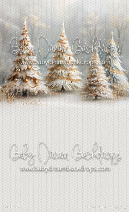 Golden Winter  Sweep (VR)