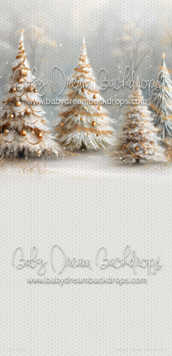 Golden Winter  Sweep (VR)