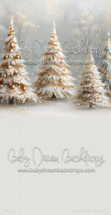 Golden Winter  Sweep (VR)