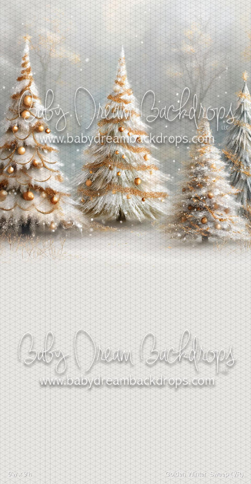 Golden Winter  Sweep (VR)