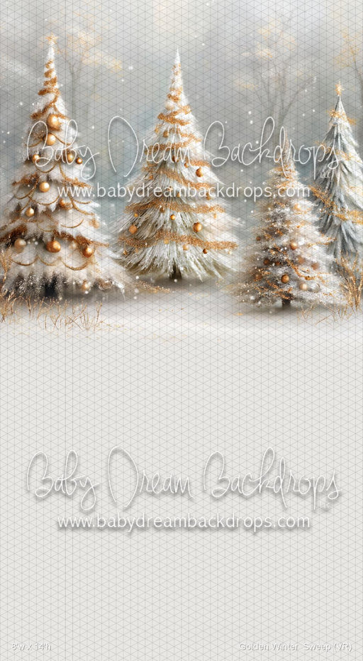 Golden Winter  Sweep (VR)