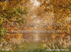Gonna Be Golden Path (CC)