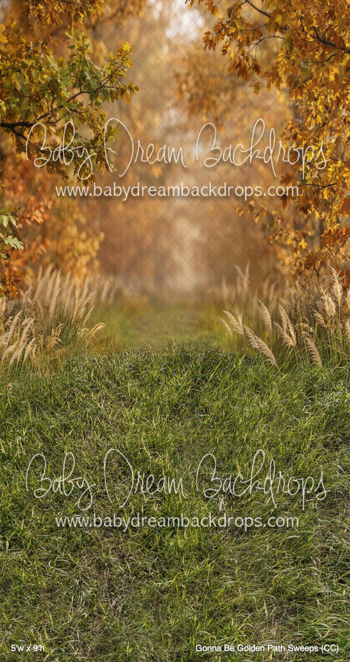Gonna Be Golden Path Sweeps (CC)