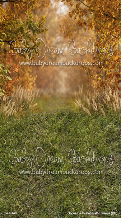 Gonna Be Golden Path Sweeps (CC)