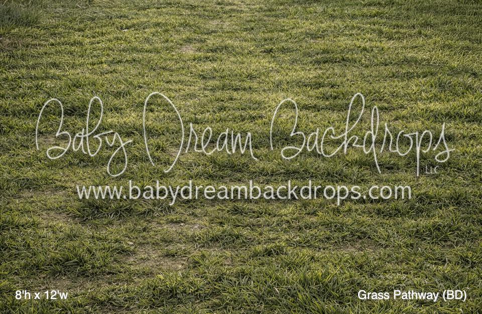 Grass Pathway Fabric Floor (BD)