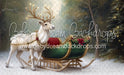 Green Reindeer Sleigh (MD)