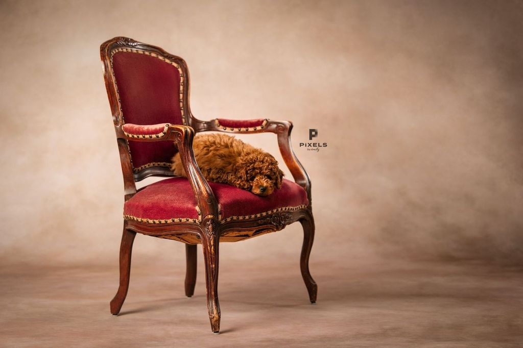 Allure Creamy Cappuccino