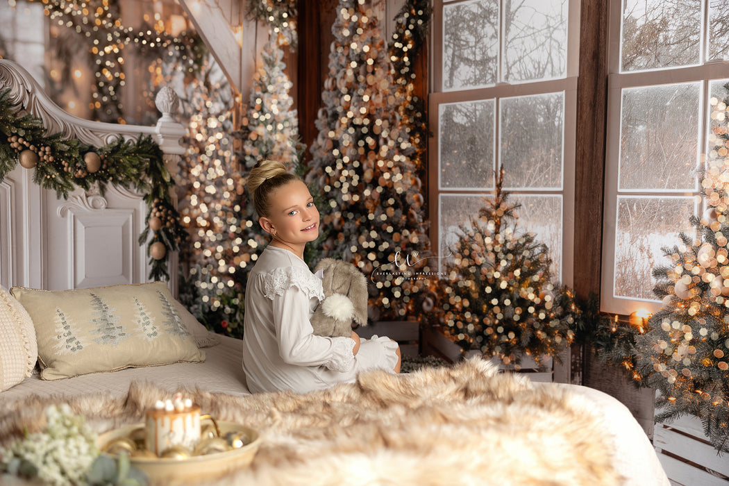 Rustic Charmer Christmas Window White (JA)