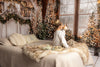 Rustic Charmer Christmas Window (White Bottom) (JA)