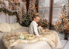 Rustic Charmer Christmas Window (White Bottom) (JA)