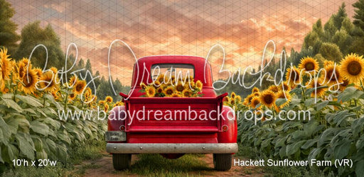 Hackett Sunflower Farm (VR)