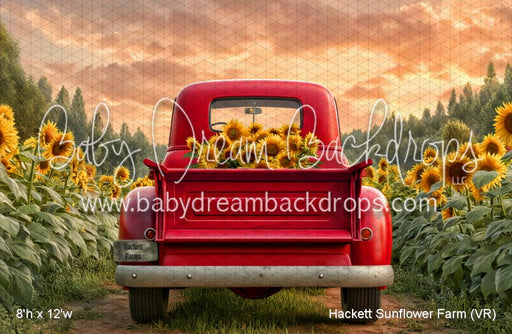 Hackett Sunflower Farm (VR)