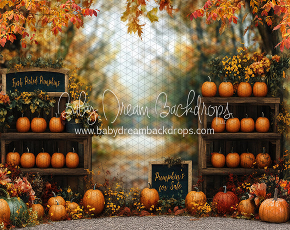 Happy Harvest Pumpkin Patch (BD)