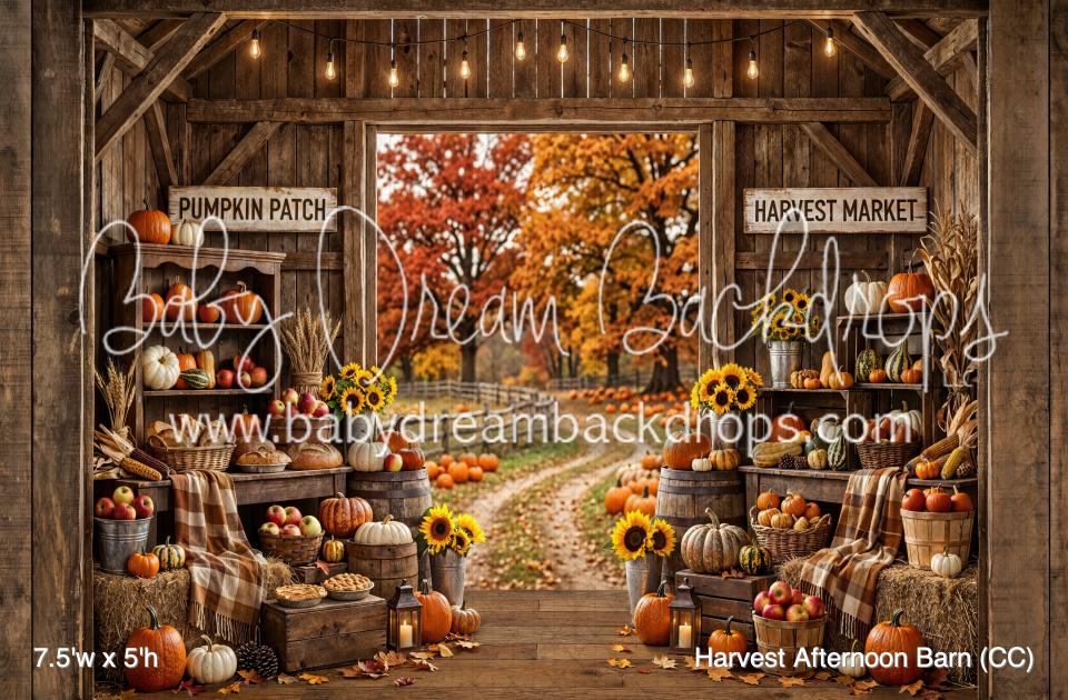 Harvest Afternoon Barn (CC)