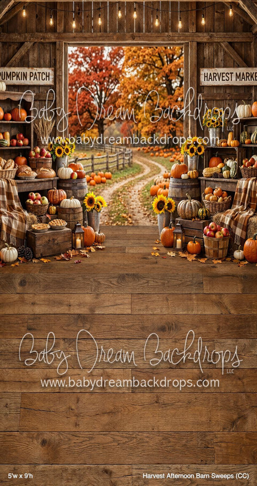 Harvest Afternoon Barn Sweeps (CC)