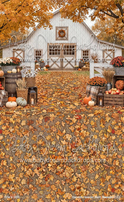 Harvest Heaven Barn Sweeps (CC)