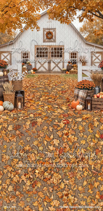 Harvest Heaven Barn Sweeps (CC)