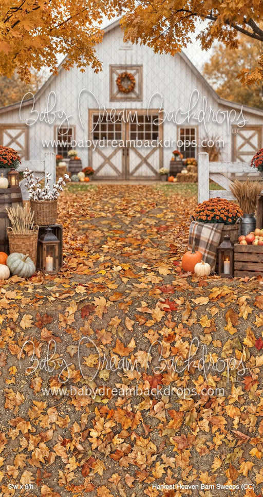 Harvest Heaven Barn Sweeps (CC)