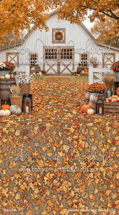 Harvest Heaven Barn Sweeps (CC)