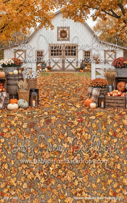 Harvest Heaven Barn Sweeps (CC)