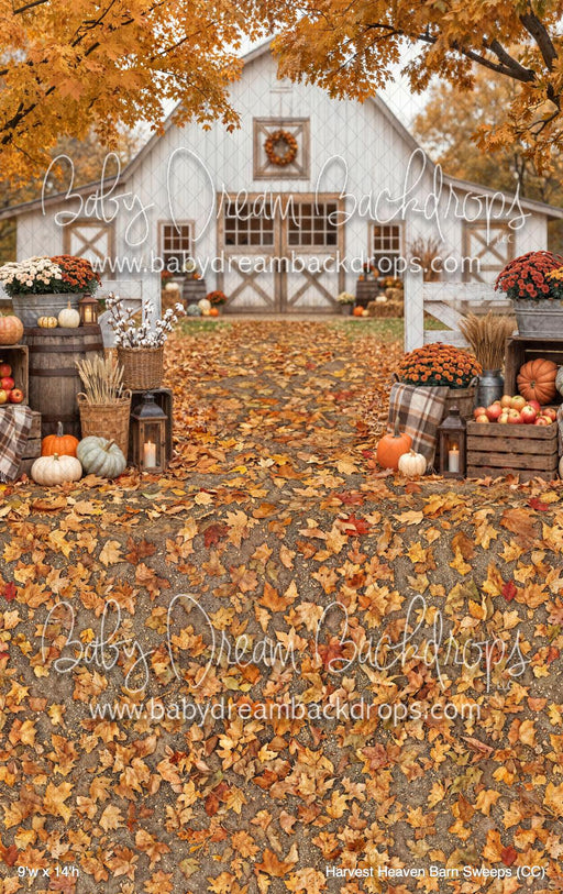 Harvest Heaven Barn Sweeps (CC)