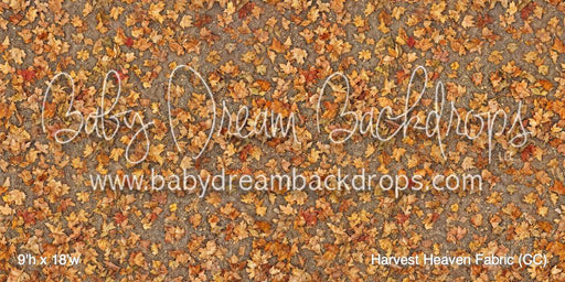 Harvest Heaven Fabric Floor (CC)