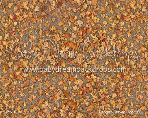 Harvest Heaven Fabric Floor (CC)