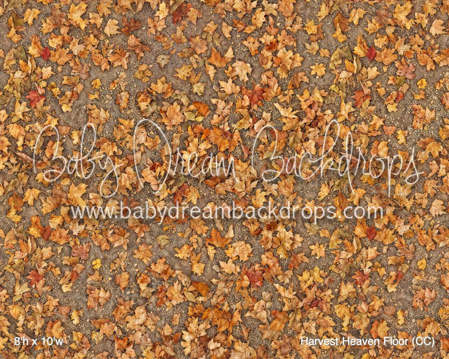 Harvest Heaven Fabric Floor (CC)