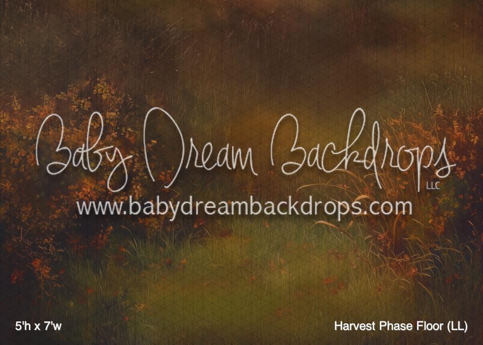 Harvest Phase Floor (LL)