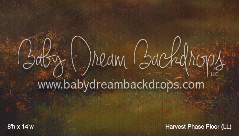 Harvest Phase Floor (LL)