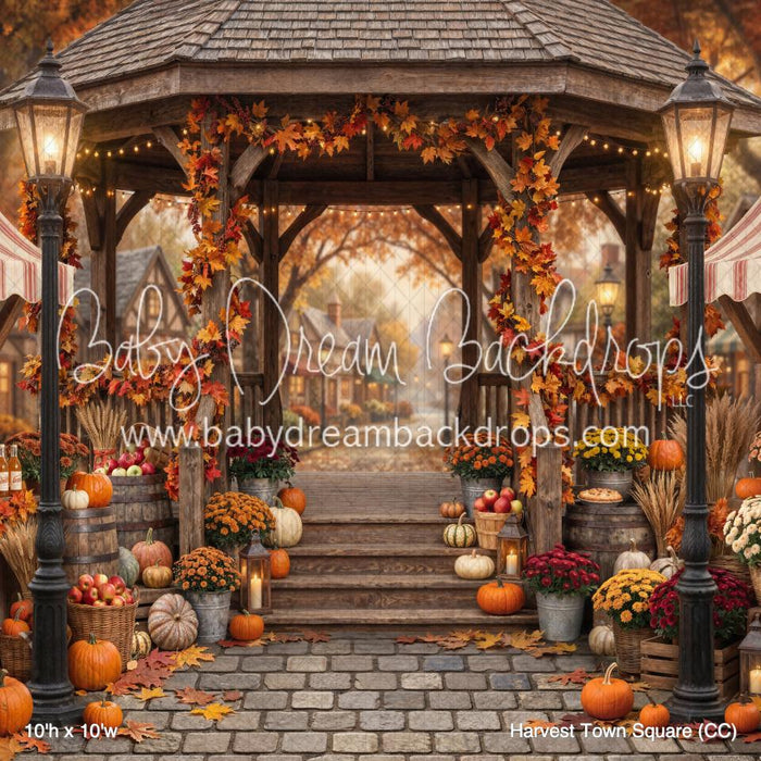 Harvest Town Square (CC)