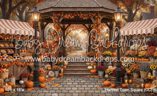 Harvest Town Square (CC)