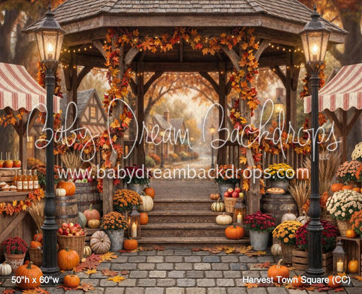 Harvest Town Square (CC)
