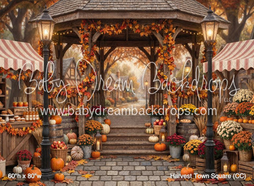 Harvest Town Square (CC)